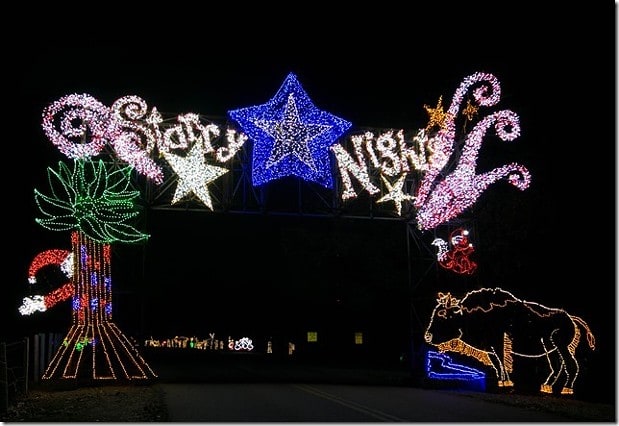 Starry Nights