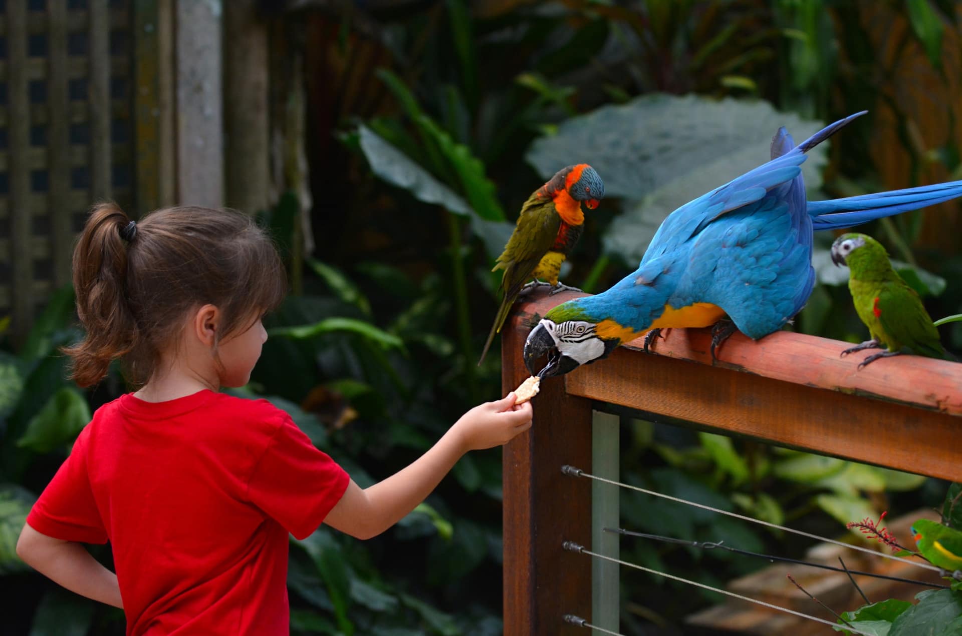 Memphis Zoo