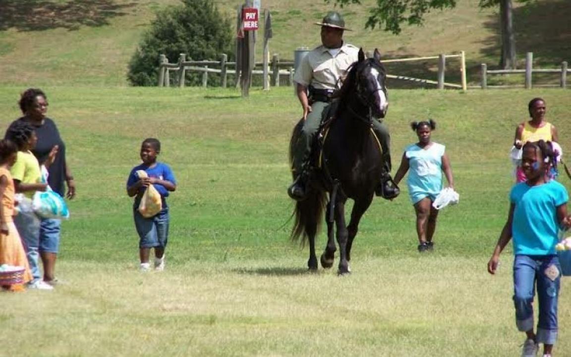 Explore T.O. Fuller State Park
