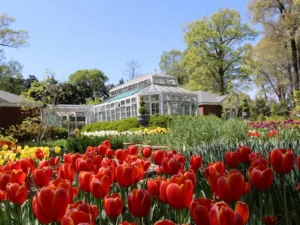 Dixon Gallery & Gardens